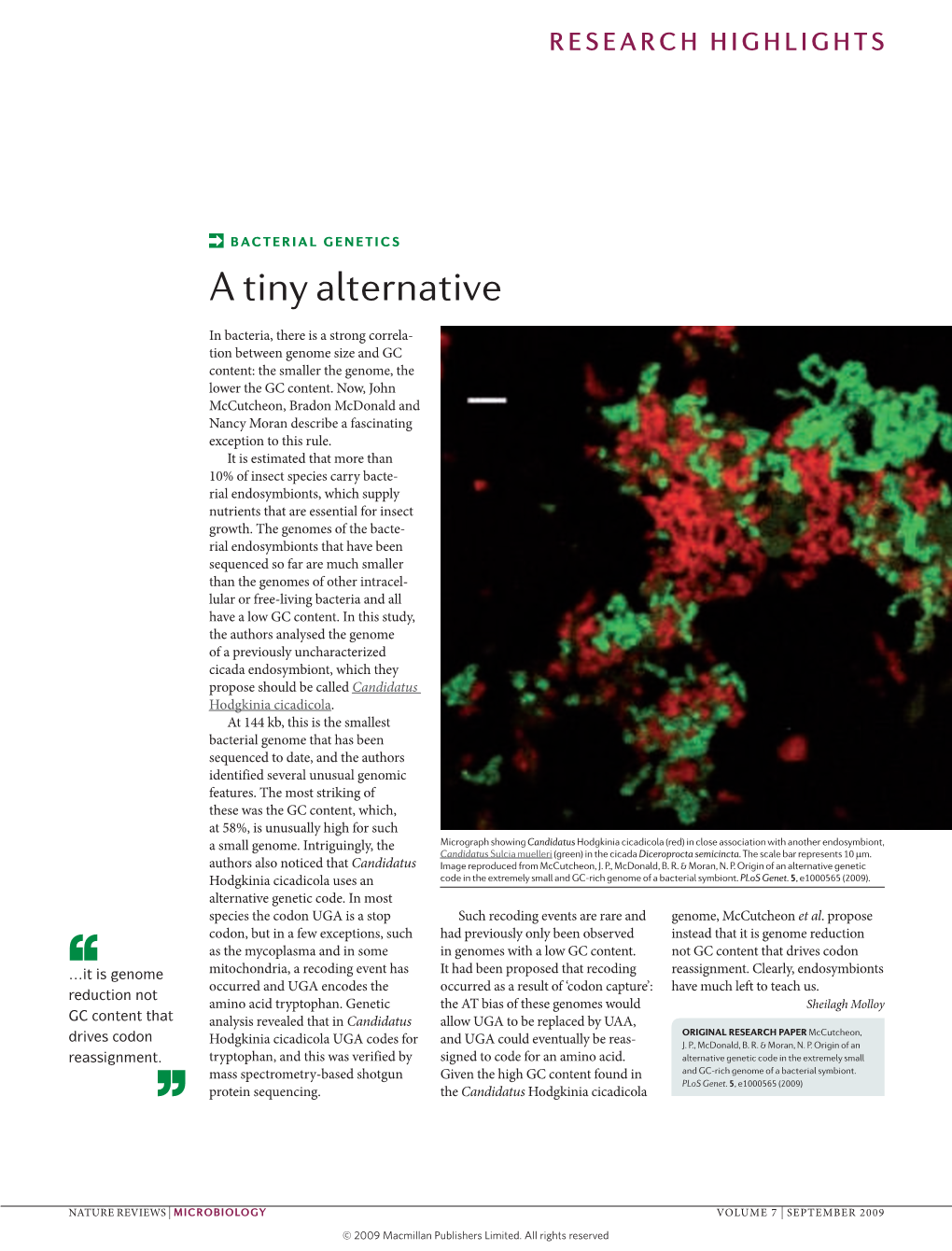 Bacterial Genetics a Tiny Alternative