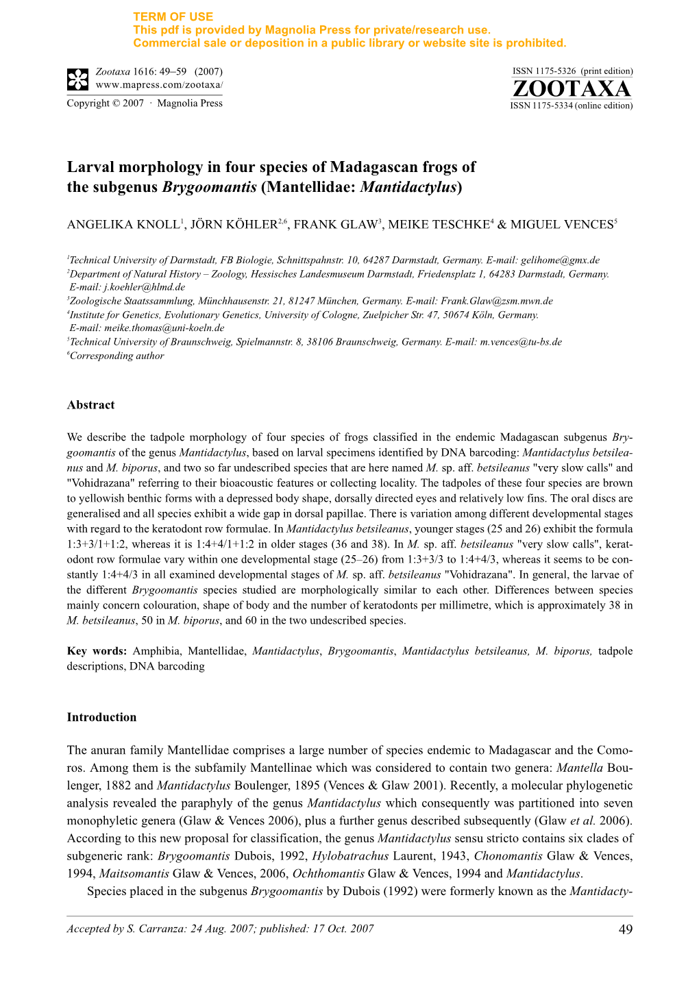 Zootaxa,Larval Morphology in Four Species of Madagascan Frogs Of