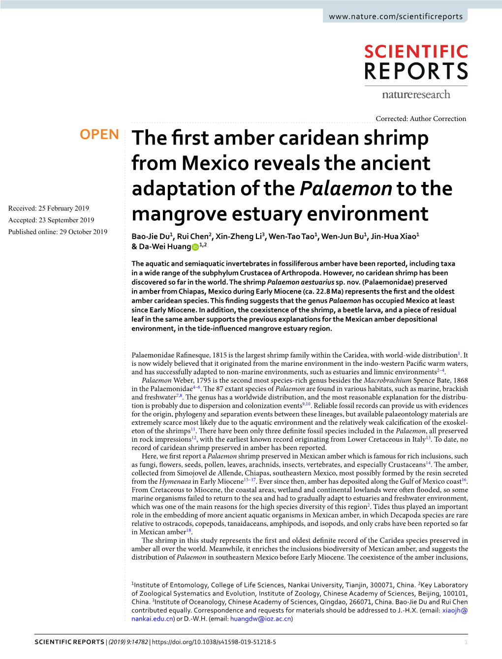 The First Amber Caridean Shrimp from Mexico Reveals the Ancient