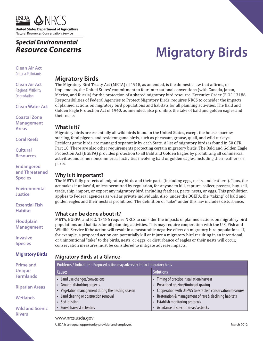 Migratory Birds