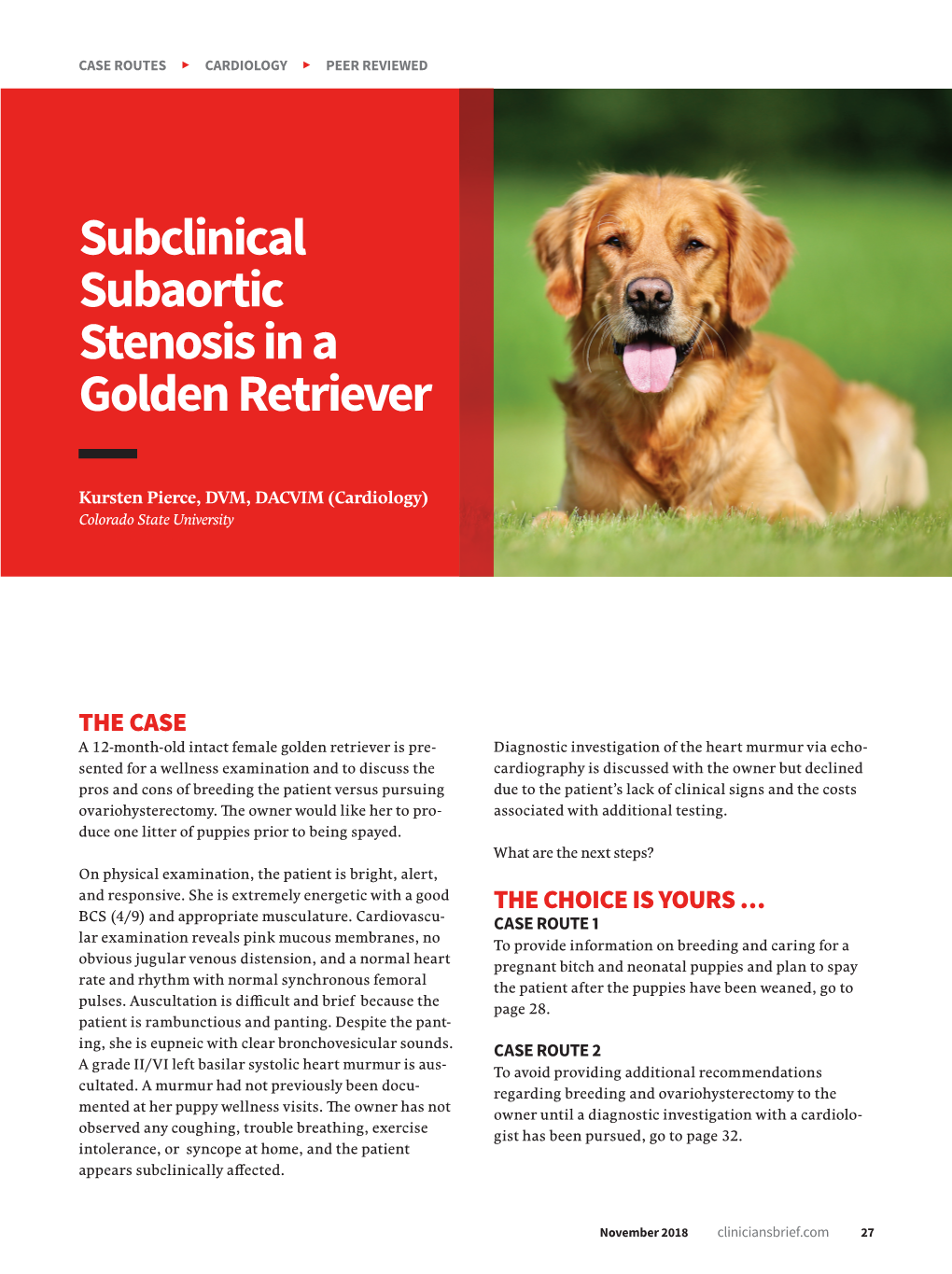 Subclinical Subaortic Stenosis in a Golden Retriever
