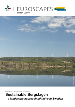 Sustainable Bergslagen – a Landscape Approach Initiative in Sweden EUROSCAPES Report 2014:4 Authors: Per Angelstam and Robert Axelsson