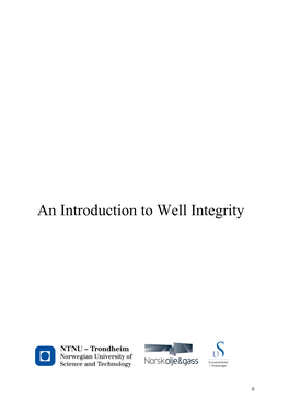 An Introduction to Well Integrity