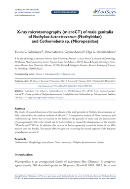 X-Ray Microtomography (Microct) of Male Genitalia of Nothybus Kuznetsovorum (Nothybidae) and Cothornobata Sp