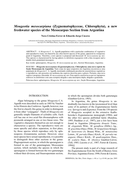 Mougeotia Mesocarpiana (Zygnematophyceae, Chlorophyta)
