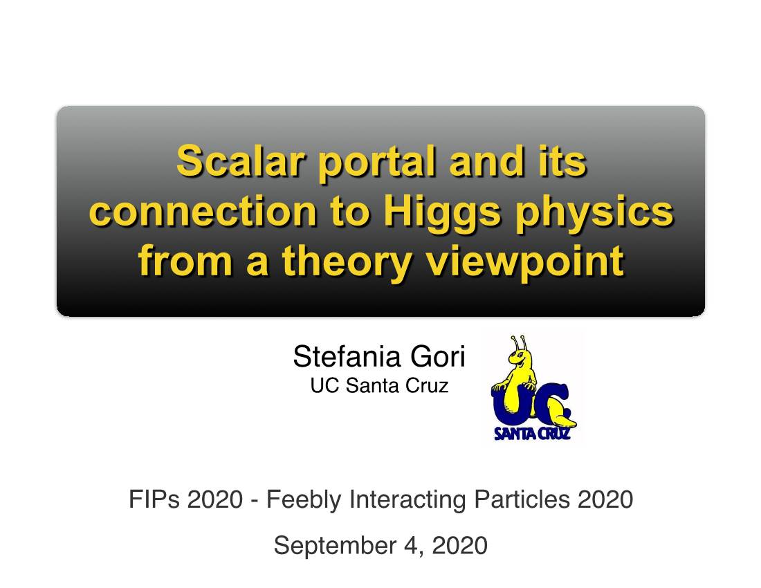 Scalar Portal and Its Connection to Higgs Physics from a Theory Viewpoint