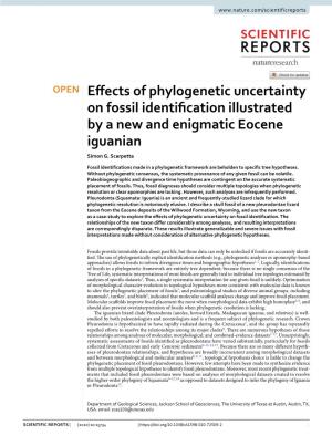 Effects of Phylogenetic Uncertainty on Fossil Identification Illustrated by A