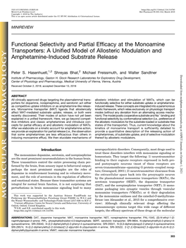 Functional Selectivity and Partial Efficacy at the Monoamine Transporters: a Unified Model of Allosteric Modulation and Amphetamine-Induced Substrate Release