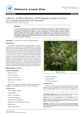 A Review on Phytochemistry and Biological Activities of Aerva