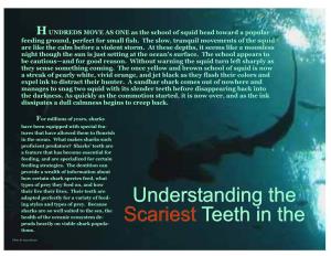 Understanding the Scariest Teeth In
