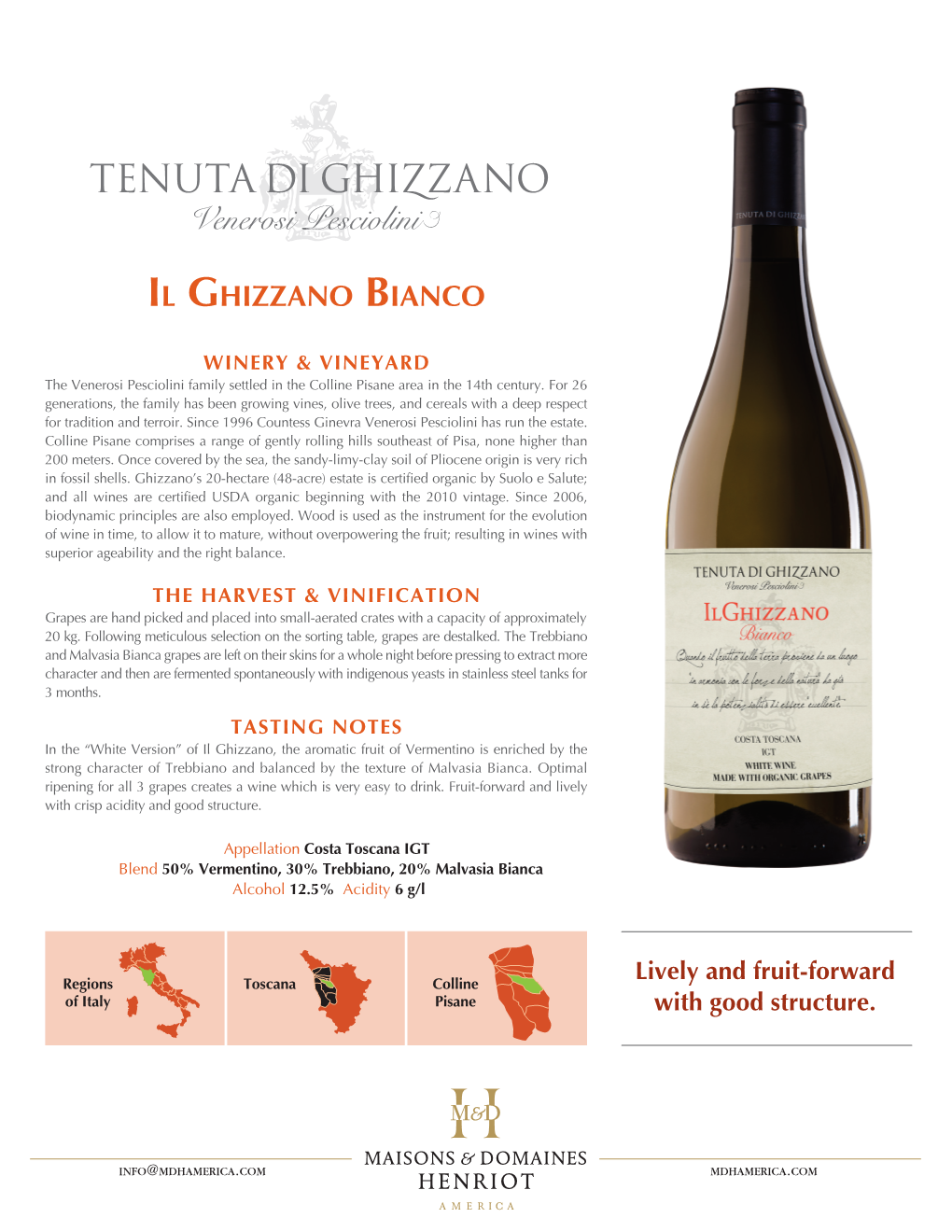 Il Ghizzano Bianco