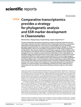 Comparative Transcriptomics Provides a Strategy for Phylogenetic Analysis