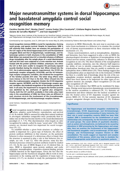 Major Neurotransmitter Systems in Dorsal Hippocampus and Basolateral Amygdala Control Social Recognition Memory