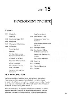 Development of Chick Development of Chick