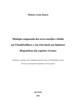 Miologia Comparada Dos Arcos Maxilar E Hioide Em Chondrichthyes E Sua Relevância Nas Hipóteses