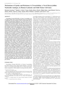 Mechanisms of Uptake and Resistance to Troxacitabine, a Novel Deoxycytidine Nucleoside Analogue, in Human Leukemic and Solid Tumor Cell Lines