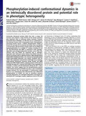 Phosphorylation-Induced Conformational Dynamics in an Intrinsically Disordered Protein and Potential Role in Phenotypic Heterogeneity
