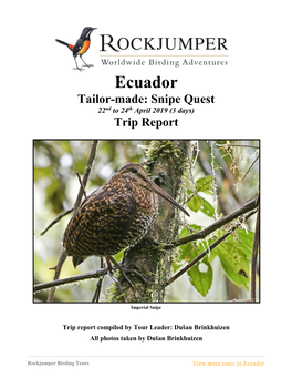 Ecuador Tailor-Made: Snipe Quest 22Nd to 24Th April 2019 (3 Days) Trip Report