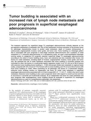 Tumor Budding Is Associated with an Increased Risk of Lymph Node