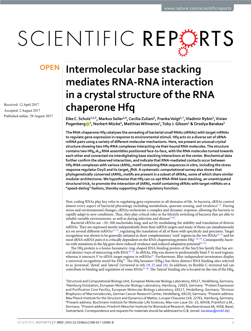 Intermolecular Base Stacking Mediates RNA-RNA Interaction in a Crystal