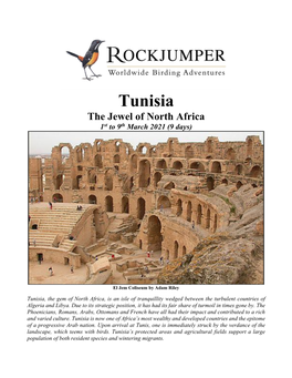 Tunisia the Jewel of North Africa 1St to 9Th March 2021 (9 Days)