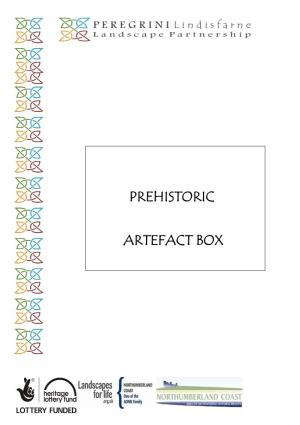 Prehistoric Artefact Box: Complete Box