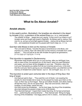 What to Do About Amalek? (Beshallach)