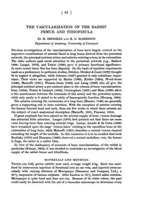 THE VASCULARIZATION of the RABBIT FEMUR and TIBIOFIBULA by M