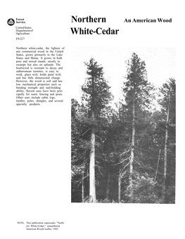 Northern White-Cedar, the Lightest of Any Commercial Wood in the United States, Grows Primarily in the Lake States and Maine