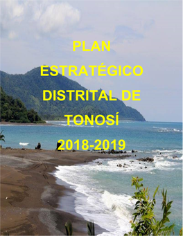 Plan Estratégico Distrital De Tonosí 2018-2019