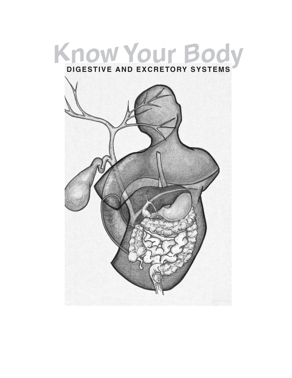 Digestive System Student Lesson