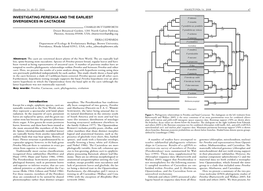 Investigating Pereskia and the Earliest Divergences In