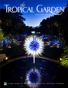 Tropical Garden Winter 2015