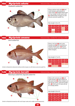 Identification Guide to the Common Coatal Food Fishes of the Pacific Region-48-53