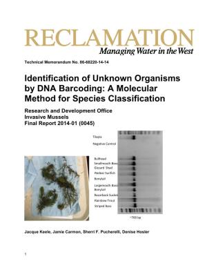 Identification of Unknown Organisms by DNA Barcoding: a Molecular Method for Species Classification