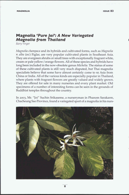 Magnolia 'Pure Joi': a New Yariegated Magnolia from Thailand Barry Yinger