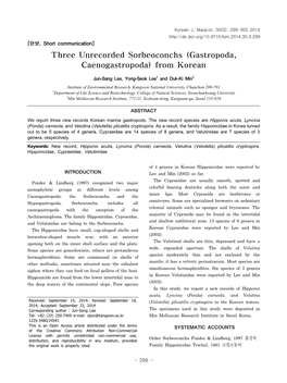 Three Unrecorded Sorbeoconchs (Gastropoda, Caenogastropoda) from Korean
