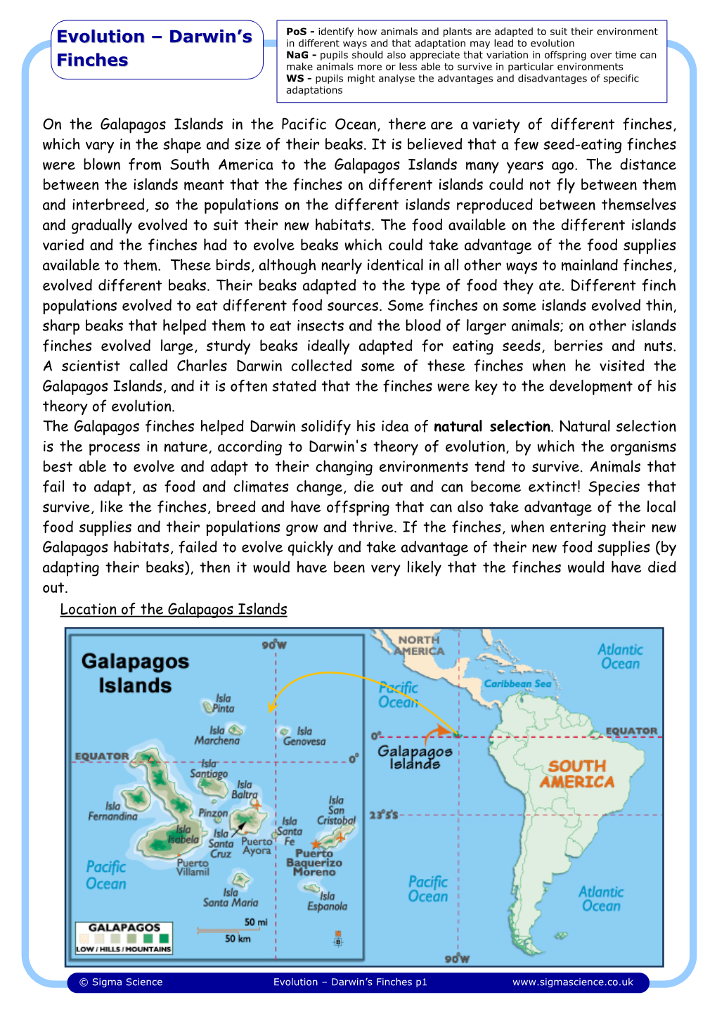 Evolution – Darwin's Finches