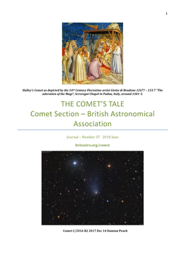 THE COMET's TALE Comet Section – British Astronomical Association
