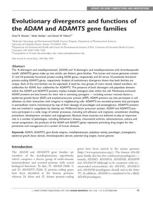 Evolutionary Divergence and Functions of the ADAM and ADAMTS Gene Families Chad N