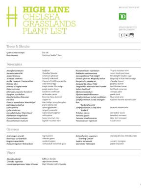 High Line Chelsea Grasslands Plant List