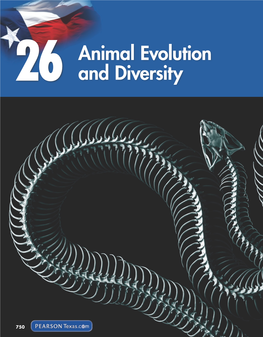 26 Animal Evolution and Diversity