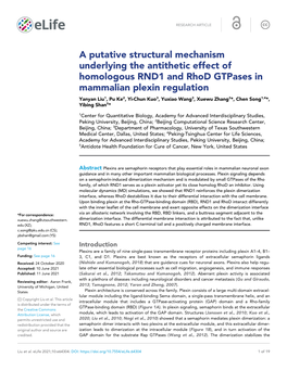 A Putative Structural Mechanism Underlying the Antithetic Effect Of