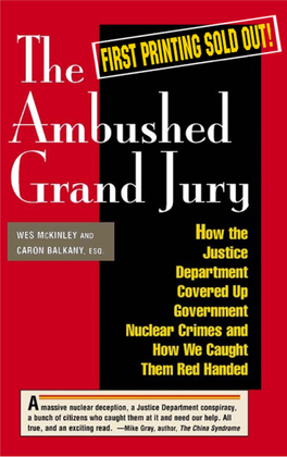 Free PDF Version the AMBUSHED GRAND JURY