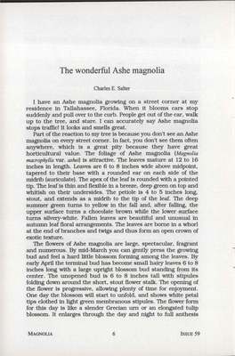 The Wonderful Ashe Magnolia