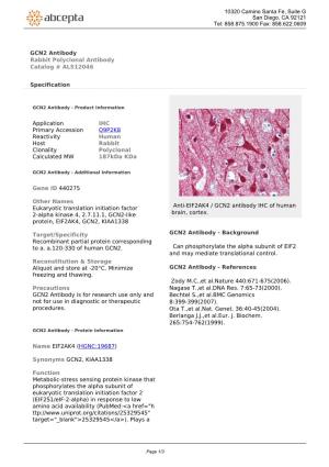 GCN2 Antibody Rabbit Polyclonal Antibody Catalog # ALS12046