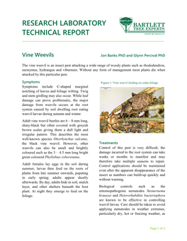 Vine Weevils Jon Banks Phd and Glynn Percival Phd