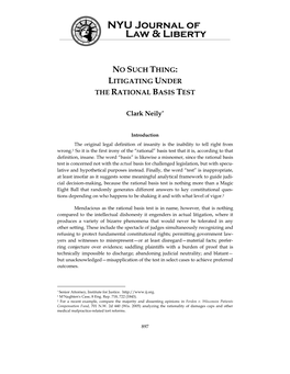 No Such Thing: Litigating Under the Rational Basis Test