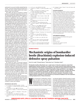 Mechanistic Origins of Bombardier Beetle (Brachinini)