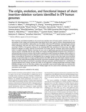 The Origin, Evolution, and Functional Impact of Short Insertion–Deletion Variants Identified in 179 Human Genomes